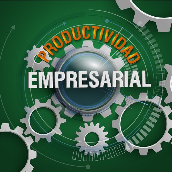PRODUCTIVIDAD EMPRESARIAL-01.jpg