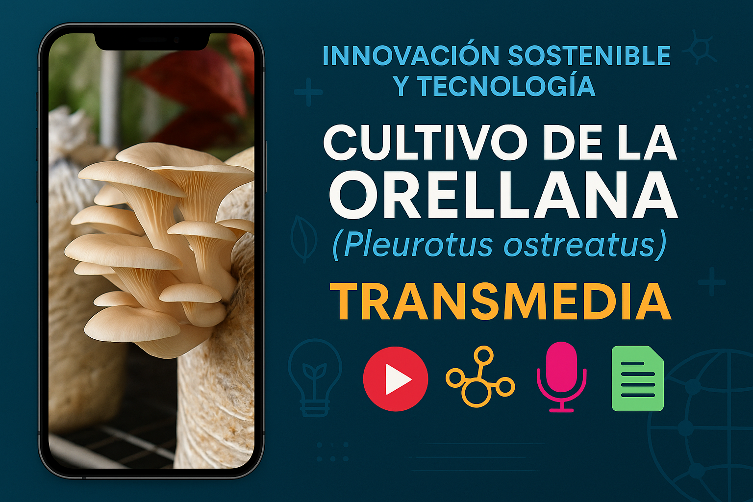 Producto_transmedia.png