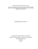 11275790.pdf.jpg