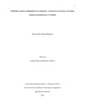 eafajardob.pdf.jpg
