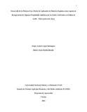 salopezr.pdf.jpg