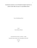 ycbohorquezr.pdf.jpg