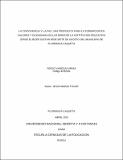 40782184.pdf.jpg