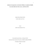 TrabajodeGradoProyectoAplicado.pdf.jpg