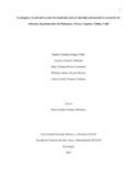 Carango.pdf.jpg