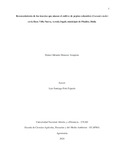 Domenesess.pdf.jpg
