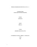 cgruizm.pdf.jpg