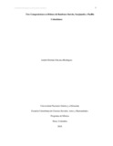 ahchicaizar.pdf.jpg