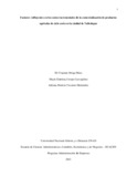 apvizcainoh.pdf.jpg