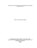Ajpachecos.pdf.jpg