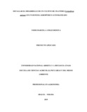 Ymavilezb.pdf.jpg
