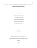 dstimanag.pdf.jpg