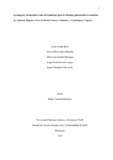 Di29gar207.pdf.jpg