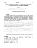hlcubidesg.pdf.jpg
