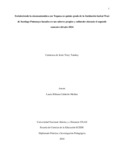 cdtisoyt.pdf.jpg