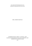 alsolera.pdf.jpg