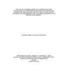japalaciospa.pdf.jpg