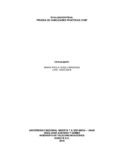 mpsosac.pdf.jpg