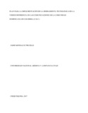 13847453.pdf.jpg