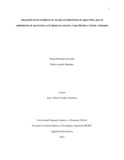 dfguzmanv.pdf.jpg
