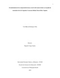 ymrodriguezpe.pdf.jpg