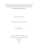 arnoguerac.pdf.jpg