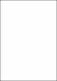 2009-02-01P-0088.pdf.jpg