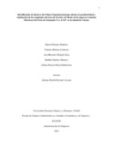 lppinzonb.pdf.jpg