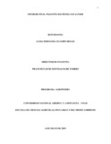 lfocampohe.pdf.jpg