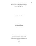 smroserobo.pdf.jpg