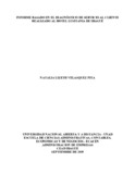 nlvelasquezp.pdf.jpg