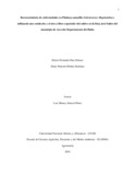 efdiazg.pdf.jpg