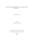ypsilveraa.pdf.jpg