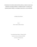 amsegurap.pdf.jpg