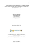 Clnunezp.pdf.jpg