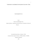 yariosy.pdf.jpg