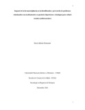 dbelenope.pdf.jpg