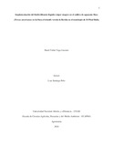 hyvegal.pdf.jpg