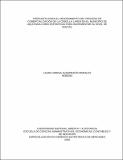46381561.pdf.jpg