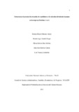 jjbolivarc.pdf.jpg