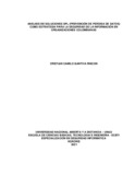 ccgantivar.pdf.jpg