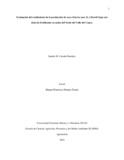 Smcastanora.pdf.jpg