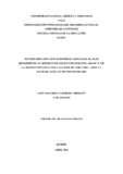 26331404.pdf.jpg
