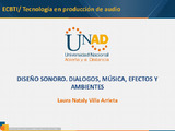 213007 Diseño Sonoro.pdf.jpg