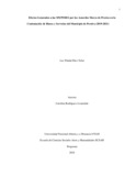 lpdiazt.pdf.jpg