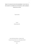 vcalderonp .pdf.jpg