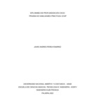 japerear.pdf.jpg