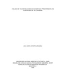 lmvictorias.pdf.jpg