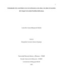ldblanquicethm.pdf.jpg