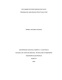 dcaicedoar.pdf.jpg
